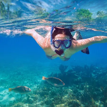 New Familiar Lovely In Cala En Porter شقة Cala En Porter (Menorca)